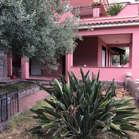 Le Petit Paradis